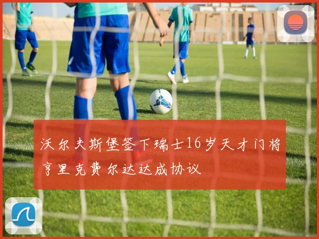 沃尔夫斯堡签下瑞士16岁天才门将亨里克费尔达达成协议